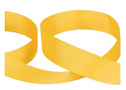 Тесьма  Gamma GR-25 №025